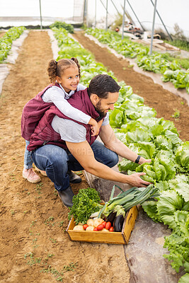 Buy stock photo Farming, agriculture and father with child in greenhouse picking vegetables together on farm. Family, love and young girl helping dad with sustainable farming, harvest and collecting organic lettuce