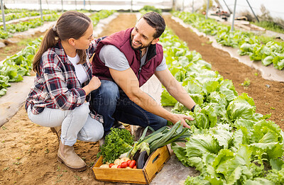 Buy stock photo Love, farmer and couple farming vegetables, natural healthy food and sustainable agriculture on land outdoors. Smile, sustainability and happy woman enjoys harvesting growth and working with partner