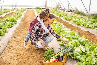 Buy stock photo Mother in vegetables garden, farm with child and farmer in family greenhouse together for self sustainable lifestyle. Girl farming with mama, harvest in agriculture environment and natural food