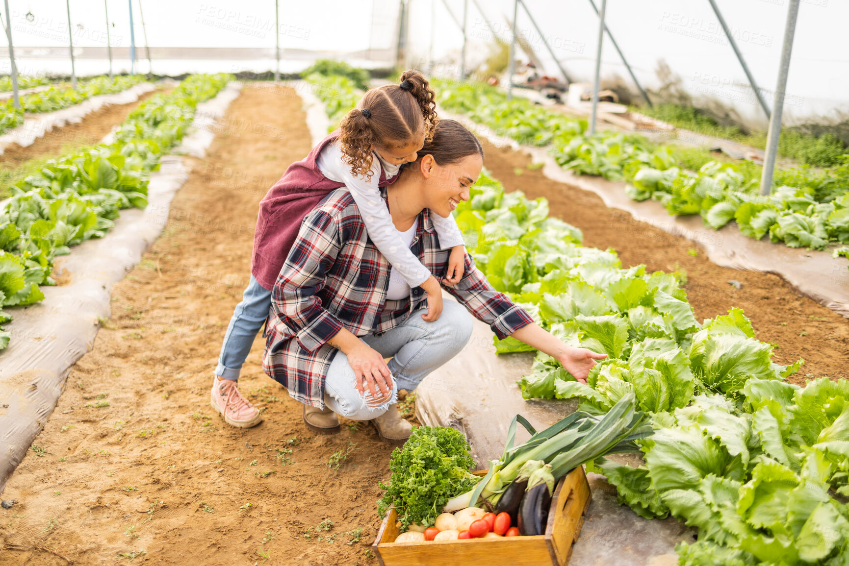 Buy stock photo Mother in vegetables garden, farm with child and farmer in family greenhouse together for self sustainable lifestyle. Girl farming with mama, harvest in agriculture environment and natural food