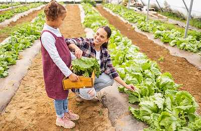 Buy stock photo family, happy and farming in vegetable greenhouse for child learning environmental sustainability. Agriculture, eco friendly farm and kid farmer with mother for carbon culture in plant garden