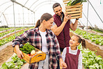 Food, agriculture and sustainability with family on farm for learning, environment and help. Health, nature and garden with parents and girl farmer with vegetables box in field for plant and growth