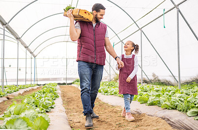 Buy stock photo Man with child, agriculture and vegetable in greenhouse with farming and sustainability, holding hands bonding with box and harvest. Farmer, girl and farm product, green and organic vegetables.