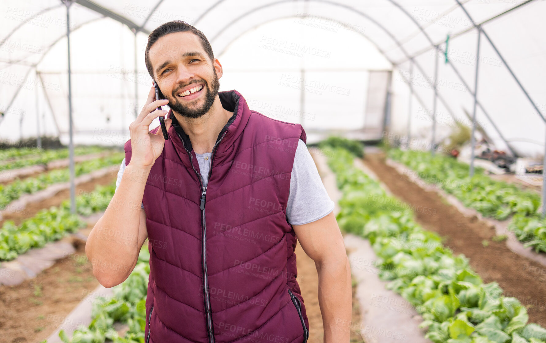 Buy stock photo Greenhouse, phone call and man on agriculture farm talking, discussion or harvest conversation. Agro, small business and male farmer from Canada on 5g mobile speaking about crops or growth of plants.