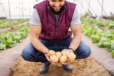 Buy stock photo Happy potato farmer, greenhouse farm and vegetable garden with sustainable, organic agriculture and a healthy natural harvest. Modern sustainability farm, indoor crop and modern agriculture farming 
