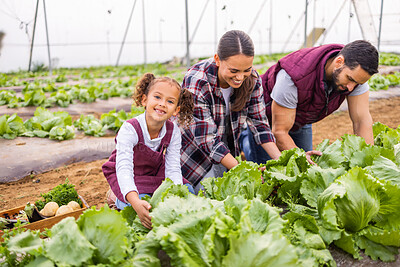 Buy stock photo Mother, father and girl farming, in greenhouse and vegetables for health to harvest, fresh produce and organic food picking. Family, parents and kid doing agriculture, healthy and community garden.