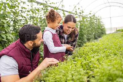 Buy stock photo Farming, agriculture and family with child and parents happy together while learning growth process of plants for sustainability. Farmer man, woman and girl in greenhouse garden on a sustainable farm