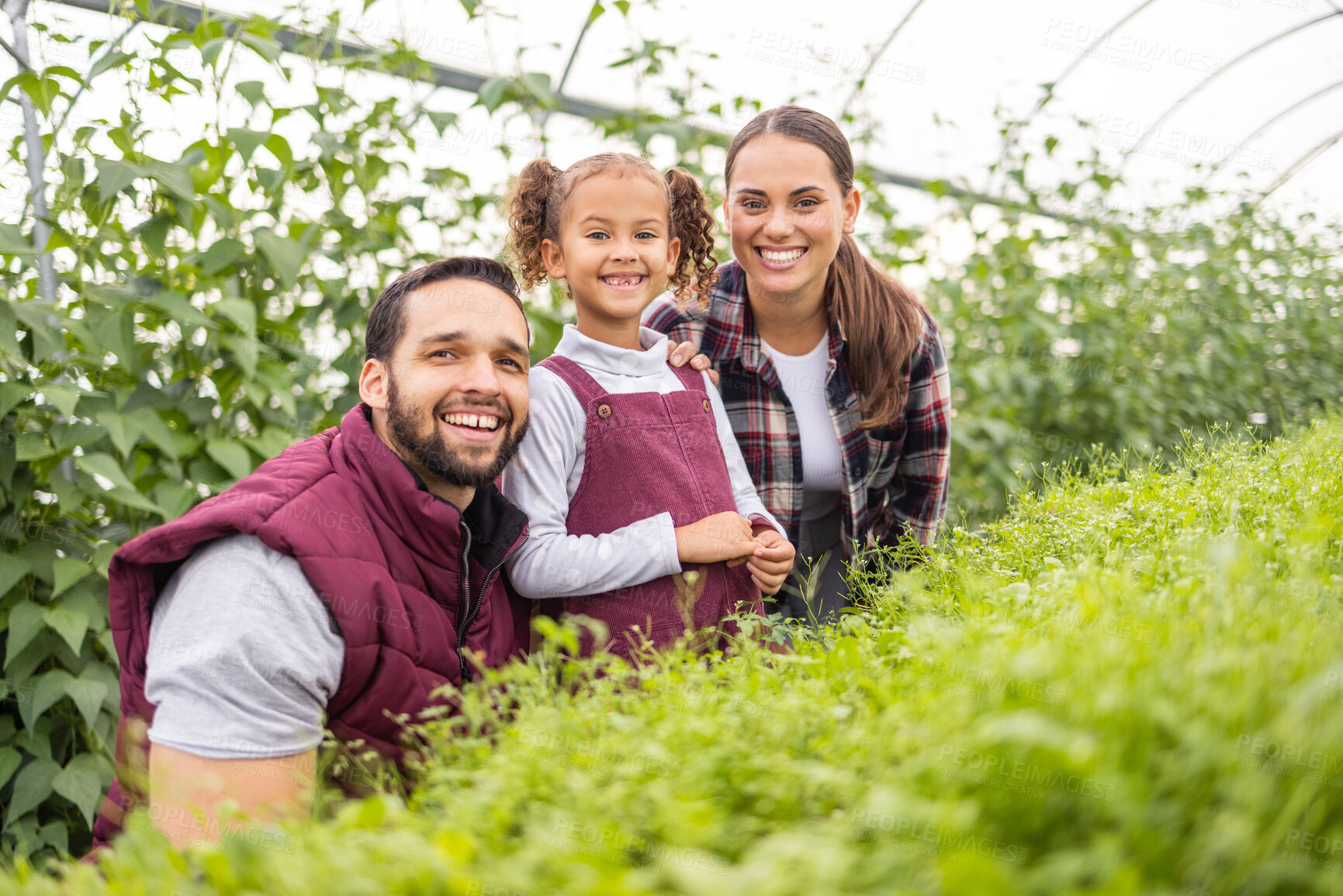 Buy stock photo Family, farm and children with a mother, father and daughter working together in a greenhouse during the harvest season. Portrait, love and farming with a man, woman and girl at work in agriculture 