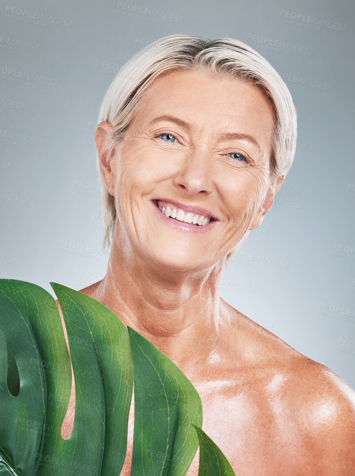 Buy stock photo Senior woman, anti aging skincare and leaves with happiness with studio background for wellness portrait. Elderly model, cosmetics skin glow and shine for healthy, self care and dermatology beauty