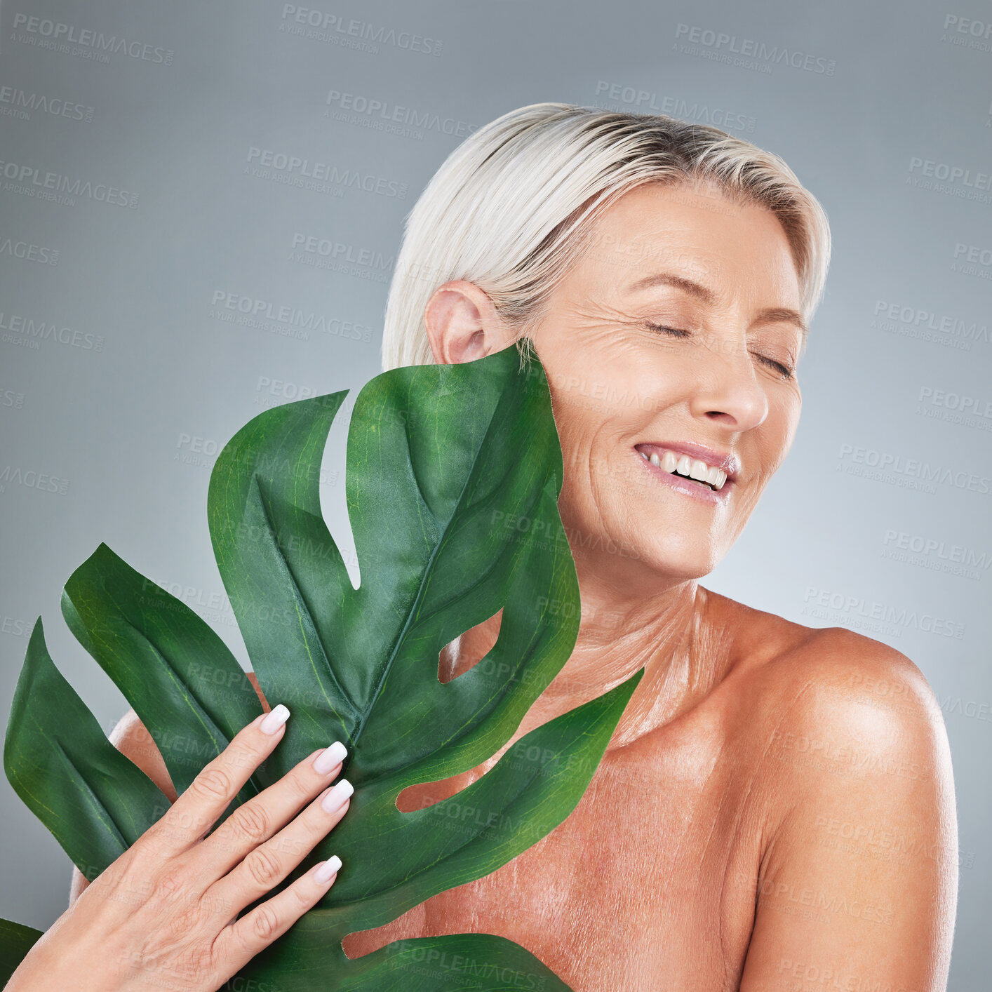 Buy stock photo Beauty, skin and mature woman with plant for organic skincare and anti aging treatment on a grey studio background. Bodycare, plants and natural skin care of older female for cosmetic product 
