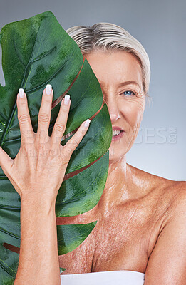 Buy stock photo Senior woman, beauty leaf and face with happiness with studio background for skincare portrait. Elderly model, skin wellness and dermatology shine for health, self care and anti aging with plants