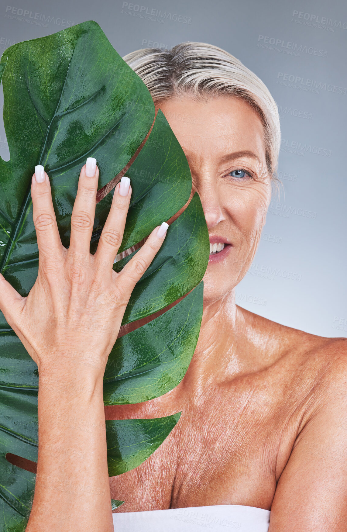 Buy stock photo Senior woman, beauty leaf and face with happiness with studio background for skincare portrait. Elderly model, skin wellness and dermatology shine for health, self care and anti aging with plants