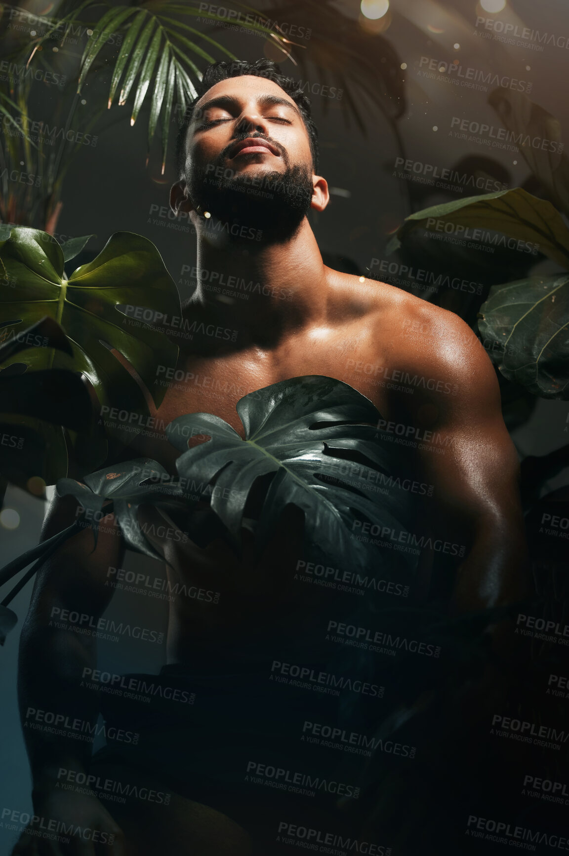 Buy stock photo Beauty, skincare and palm leaf with a man model in studio in a rainforest background with trees or plants. Nature, tropical and wellness with a handsome young male posing to promote natural treatment