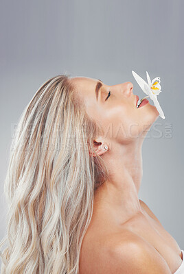Buy stock photo Woman, flower in mouth and fashion in studio, skincare and cosmetics by grey background. Blonde, model and girl with smile, hair and beauty for makeup, wellness and floral with spring flowers on lips