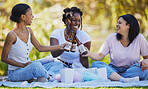 Black women, picnic and beer toast in park, nature environment or sustainability garden with food, popcorn or cotton candy. Smile, happy friends or bonding students with alcohol in celebration social