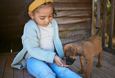 Buy stock photo Child, puppy dog and smell hand for trust, friendship and love of new, domestic animal adoption and child development. Pet shelter, friendly german shepherd and girl learning pet care while bonding  