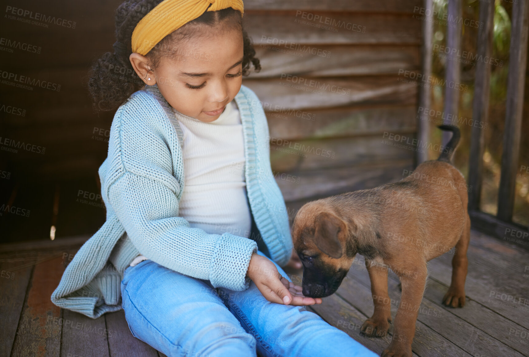 Buy stock photo Child, puppy dog and smell hand for trust, friendship and love of new, domestic animal adoption and child development. Pet shelter, friendly german shepherd and girl learning pet care while bonding  