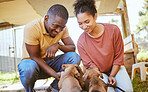 Love, black couple and playing with dogs at animal shelter or kennel. Care, support and happy interracial man and woman bonding with foster puppies and pets while thinking about adoption together.
