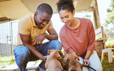 Buy stock photo Love, black couple and playing with dogs at animal shelter or kennel. Care, support and happy interracial man and woman bonding with foster puppies and pets while thinking about adoption together.
