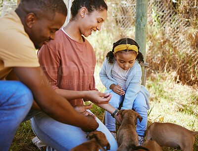 Buy stock photo Black family, mother and father with child, puppies and playful together outdoor. African American parents, girl and with pets for adoption, happy and bonding on farm, for happiness and at shelter.