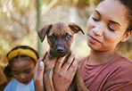 Dog, woman and hands holding puppy in love for adoption, life or bonding by animal shelter. Happy female carrying small little pup in hand for support, trust and loving affection for pet care or home