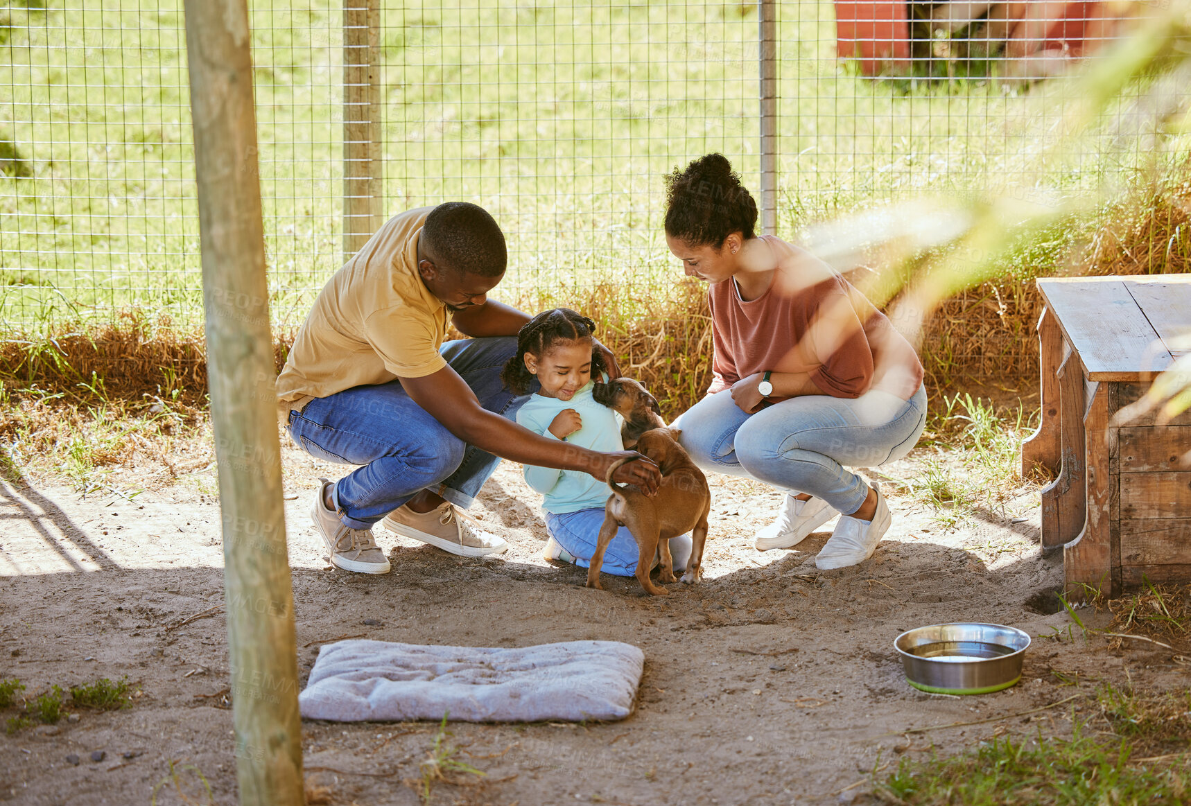 Buy stock photo Black family, dog and animal shelter with a father, mother and child volunteer together to help with choice of puppy to love and care. Man, woman and girl with pet for adoption and charity outdoor 