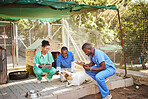 Dog, animal hospital and nurse pet care of healthcare people outdoor with patient data. Puppy doctor, nursing and medical staff together with diversity checking dogs and pets at a consulting clinic