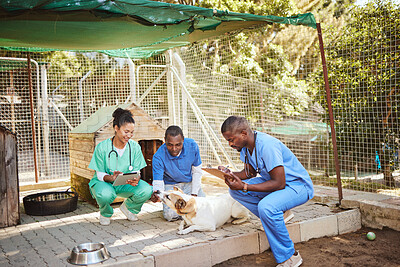 Buy stock photo Dog, animal hospital and nurse vet care of healthcare people outdoor with patient data. Puppy doctor, nursing vet and veterinary staff with diversity checking dogs and pets at a consulting clinic