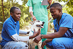 Veterinary, group and doctor with dog while working in healthcare, wellness and animal health. Vet, volunteer and pet with black man, nurse or people for medical, care or adoption of animal outdoor