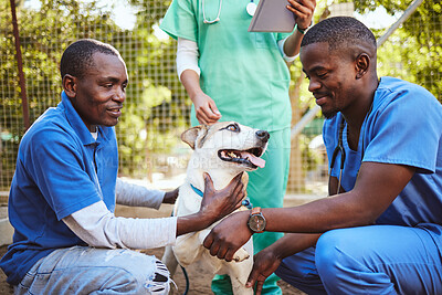 Buy stock photo Veterinary, group and doctor with dog while working in healthcare, wellness and animal health. Vet, volunteer and pet with black man, nurse or people for medical, care or adoption of animal outdoor