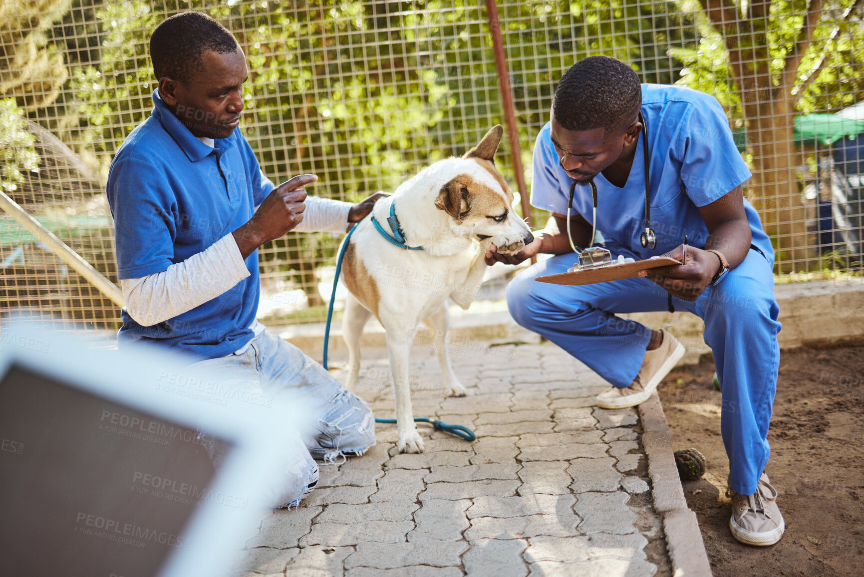 Buy stock photo Animal, shelter and care for dog at vet of veterinary men helping pet in checkup holding clipboard for examination. Healthcare, teamwork and veterinarian medical workers examining at a dog shelter