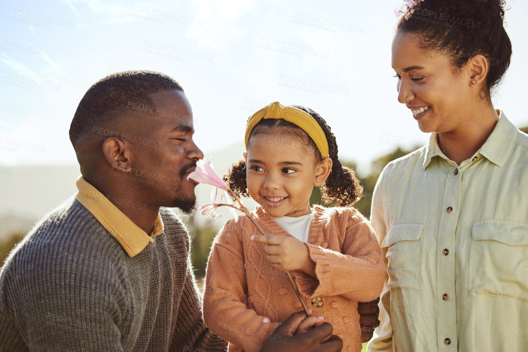 Buy stock photo Countryside, nature and happy black family with child enjoying weekend, holiday and vacation in summer. Love, family and girl playing with flower with father and mom with fun, freedom and happiness