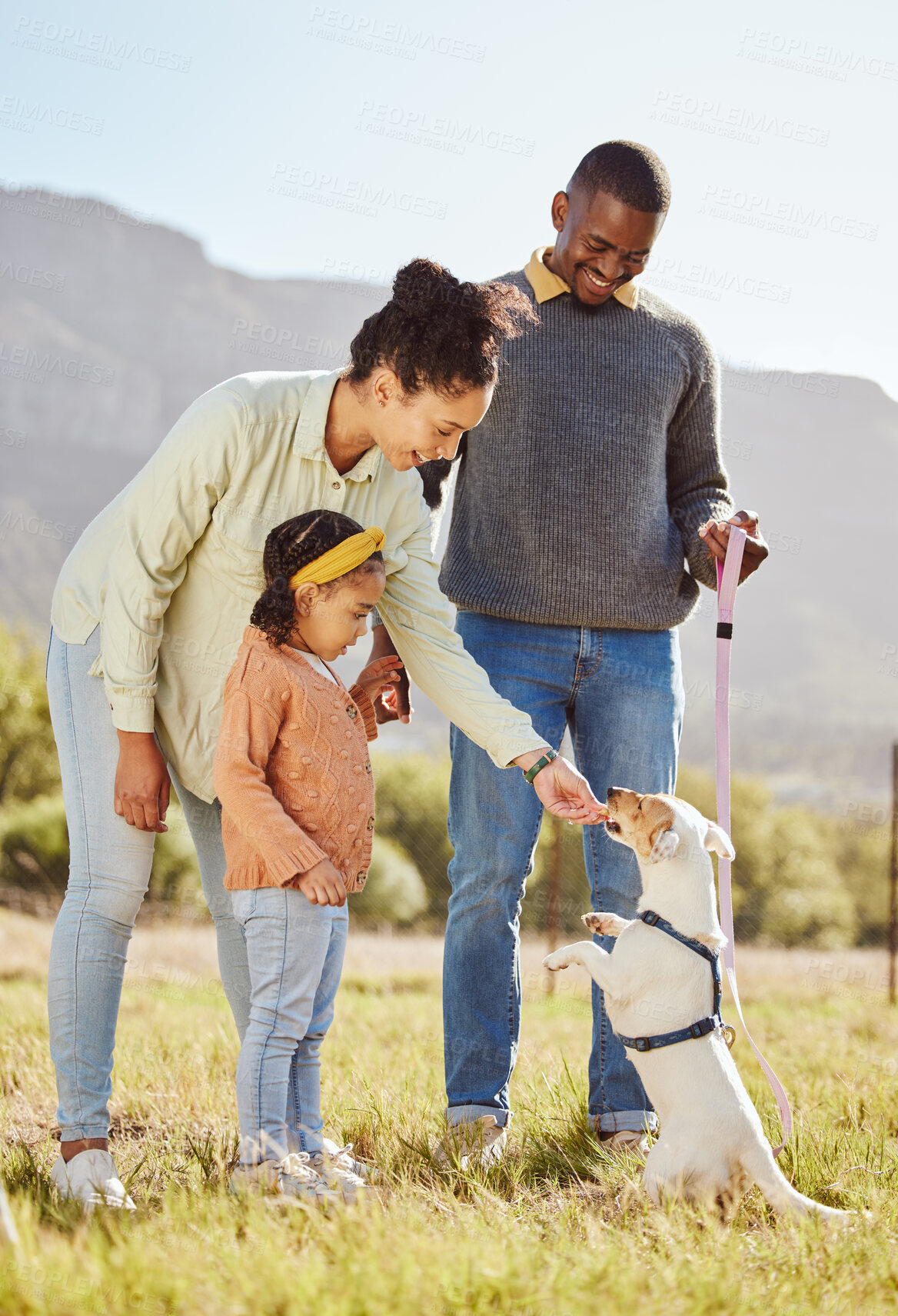 Buy stock photo Happy family with a dog in nature to relax in summer holidays or vacation walking or playing with a cute pet. Mother, father and girl child enjoy bonding or dog training a jack russell puppy animal 