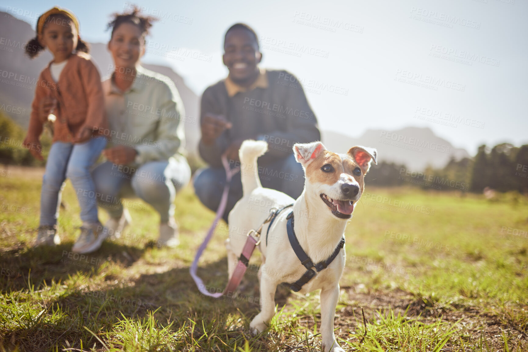 Buy stock photo Black family, child or pet dog in nature park, environmental garden or sustainability grass land for Jack Russell Terrier walk. Man, black woman and child with animal canine in fun or relax activity 