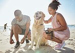 Fitness, couple and dog at beach, exercise and running on sand, ocean and summer workout, sports and healthy in sunshine. Strong man, woman and runner with labrador animal for cardio training at sea 