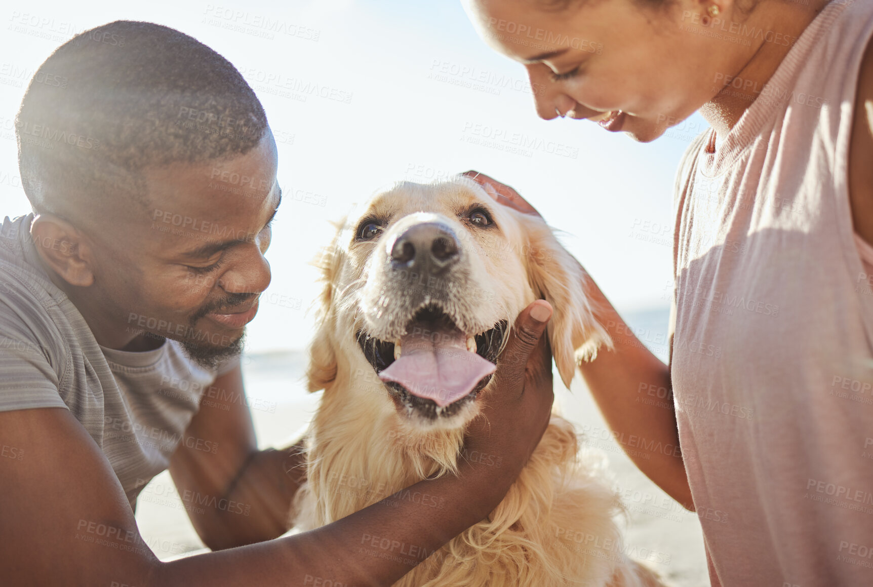 Buy stock photo Couple, dog and love, together at beach for fun trip, happy and pets animal with care. Bonding, spending quality time and black man with woman by the ocean on adventure with golden retriever puppy.