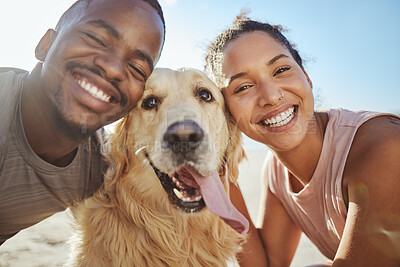 Buy stock photo Face, dog and love with a black couple on the beach during summer walking their pet for fun or recreation together. Portrait, happy and smile with a man, woman and pet golden retriever outdoor