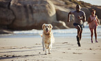 Couple, beach and dog running for freedom or travel vacation together with pet owner. Healthy lifestyle, fitness workout and puppy run on ocean sand for happiness or relax at sea in summer sunshine