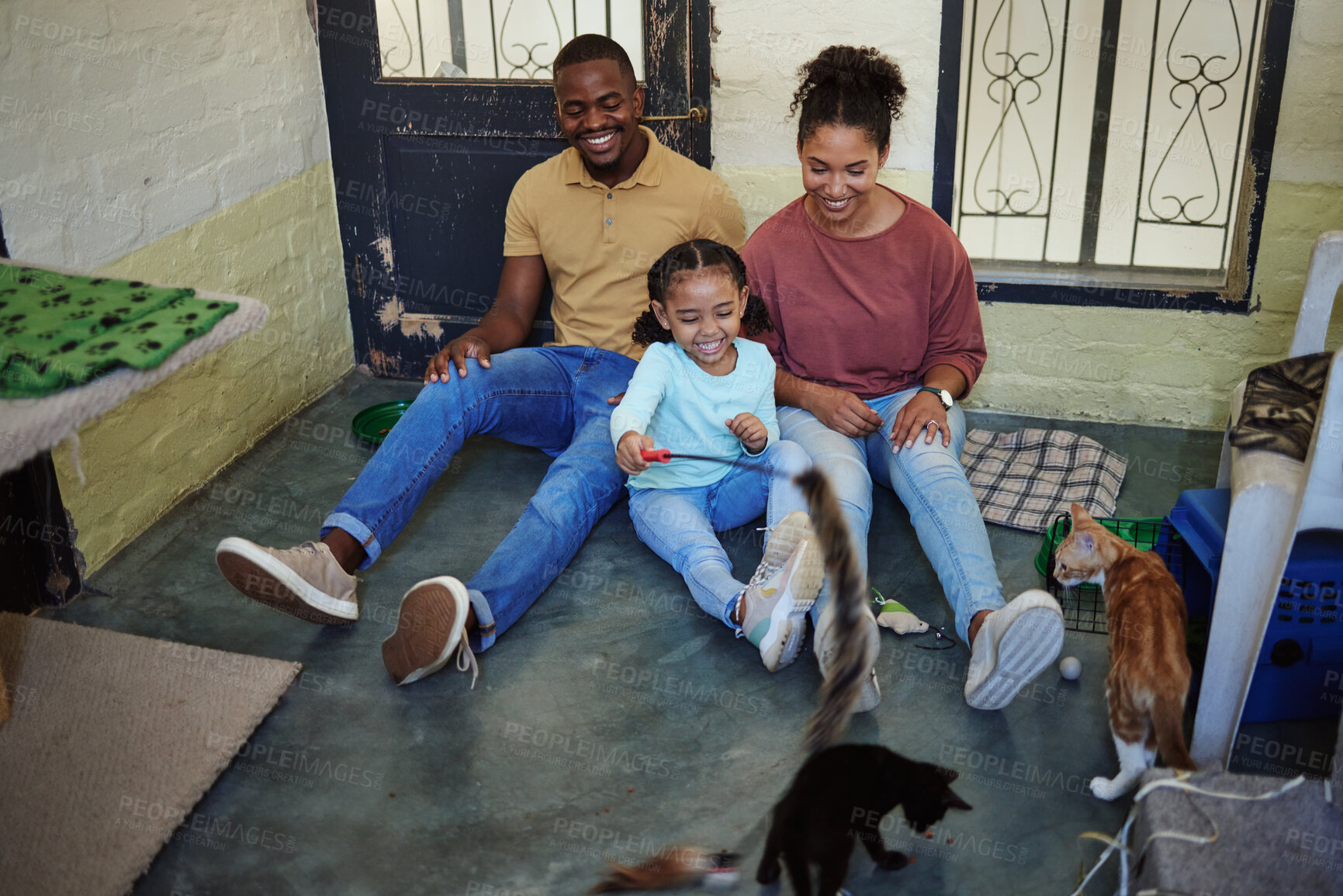 Buy stock photo Family, cats and fun and home with animals, pets and cat together with happiness and bonding. Happy mother, girl and father with pets playing with love, care and smile in a house with happiness