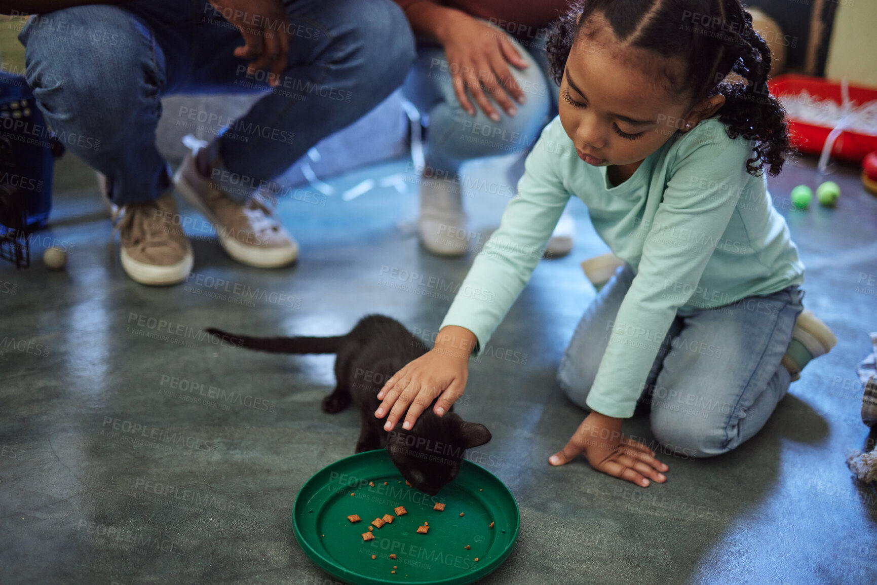 Buy stock photo Child, girl or feeding kitten in pet shelter, adoption rescue or feline volunteer community clinic with health, wellness or development food. Kid, youth or animal care for cats in foster charity home