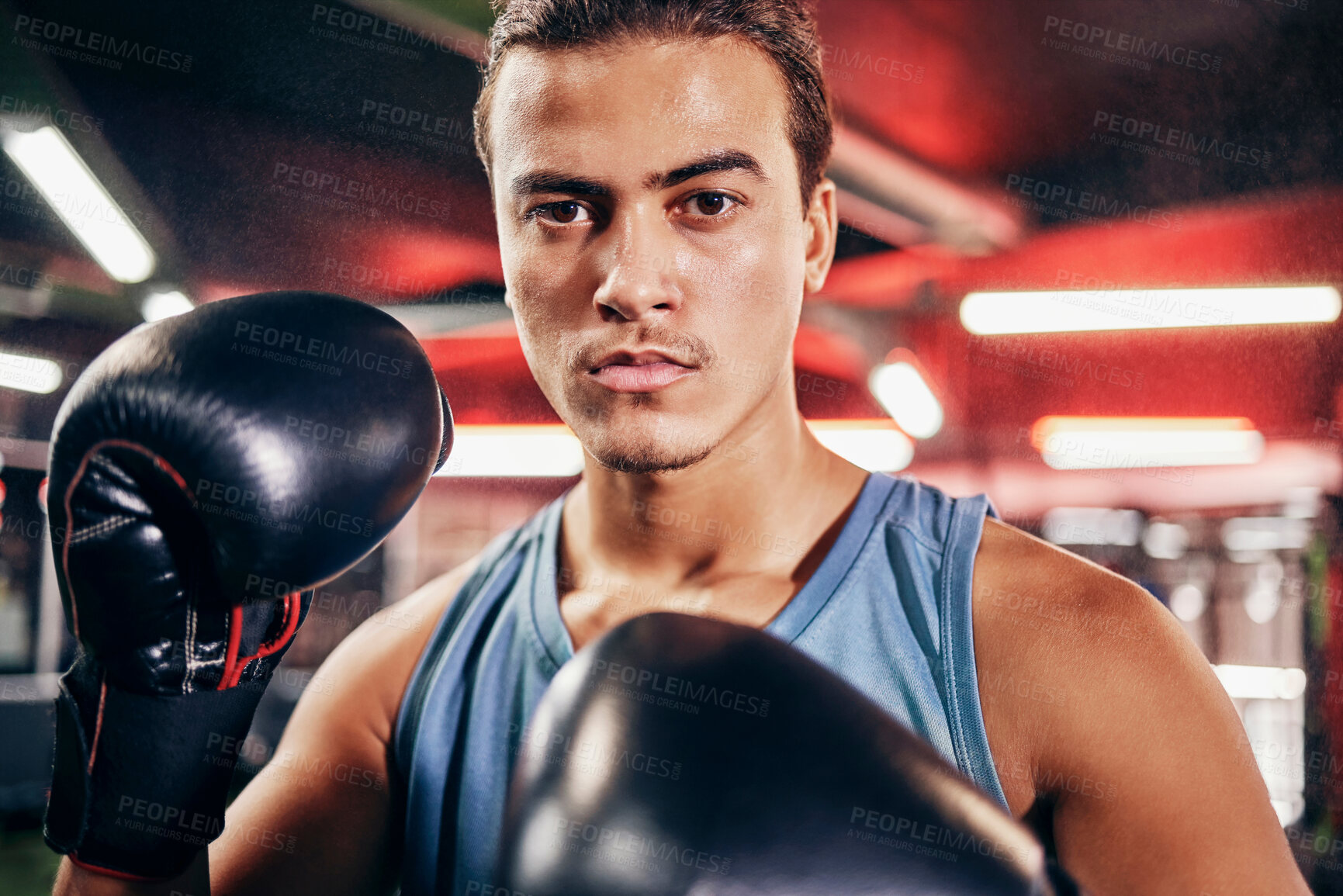 Buy stock photo Fitness, boxing gloves and portrait of an athlete training for a fighting match or competition. Sports, motivation and man boxer in a gym to workout, exercise or practice for a martial arts fight.