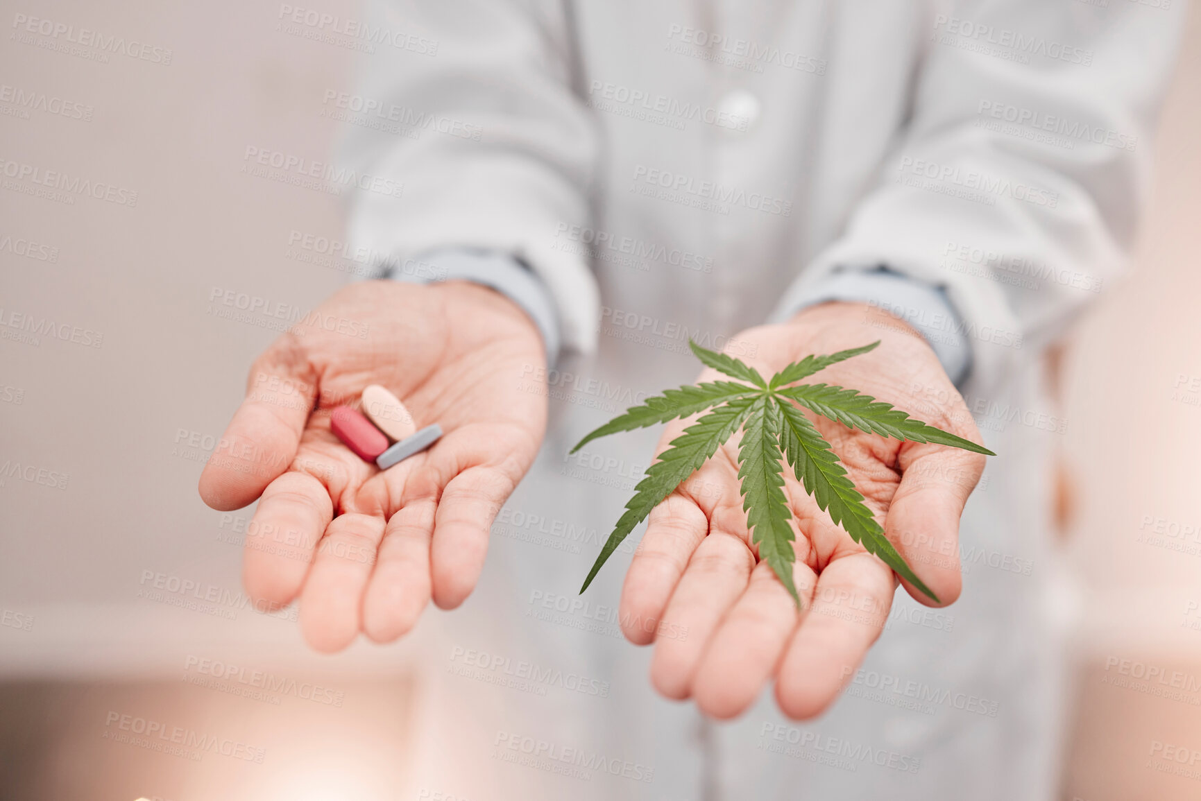 Buy stock photo Cannabis, medical weed and marijuana pills in hand for  natural pain relief with an organic thc, cbd and healthcare medicine. Big pharma, opioid crisis and pharmaceutical 420 prescription alternative