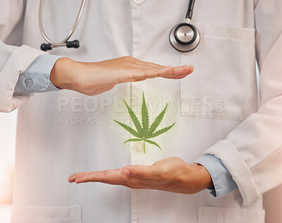 Buy stock photo Health, doctor and hands frame cannabis, marijuana leaf and treatment of pain and wellness, healing and organic healthcare. Hemp, cbd and herbal therapy, thc and herbs, 420 and alternative medicine.