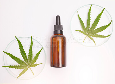 Buy stock photo Medicine, natural and oil with leaf of cannabis on white background for health, wellness and treatment. Medicinal marijuana, organic healthcare and cbd oil serum or extract for traditional healing