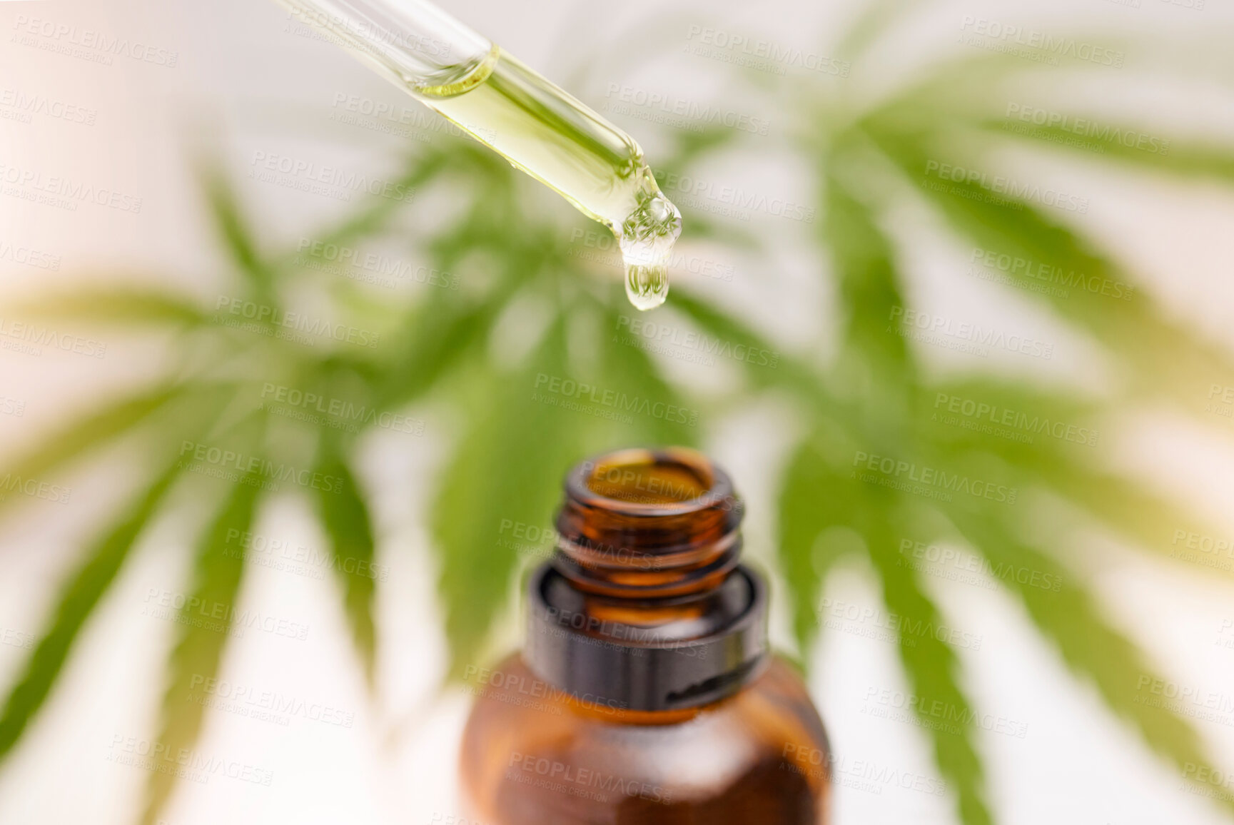 Buy stock photo Dropper, glass bottle and cbd oil for holistic healthcare, pain management or stress control in anxiety, depression or ptsd relief. Zoom, cannabis leaf or marijuana medicine product from weed extract