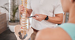 Spine model, healthcare and chiropractor with woman for consultation or treatment advice. Physiotherapy, wellness and doctor with patient and skeleton explaining cause of back pain, injury or problem