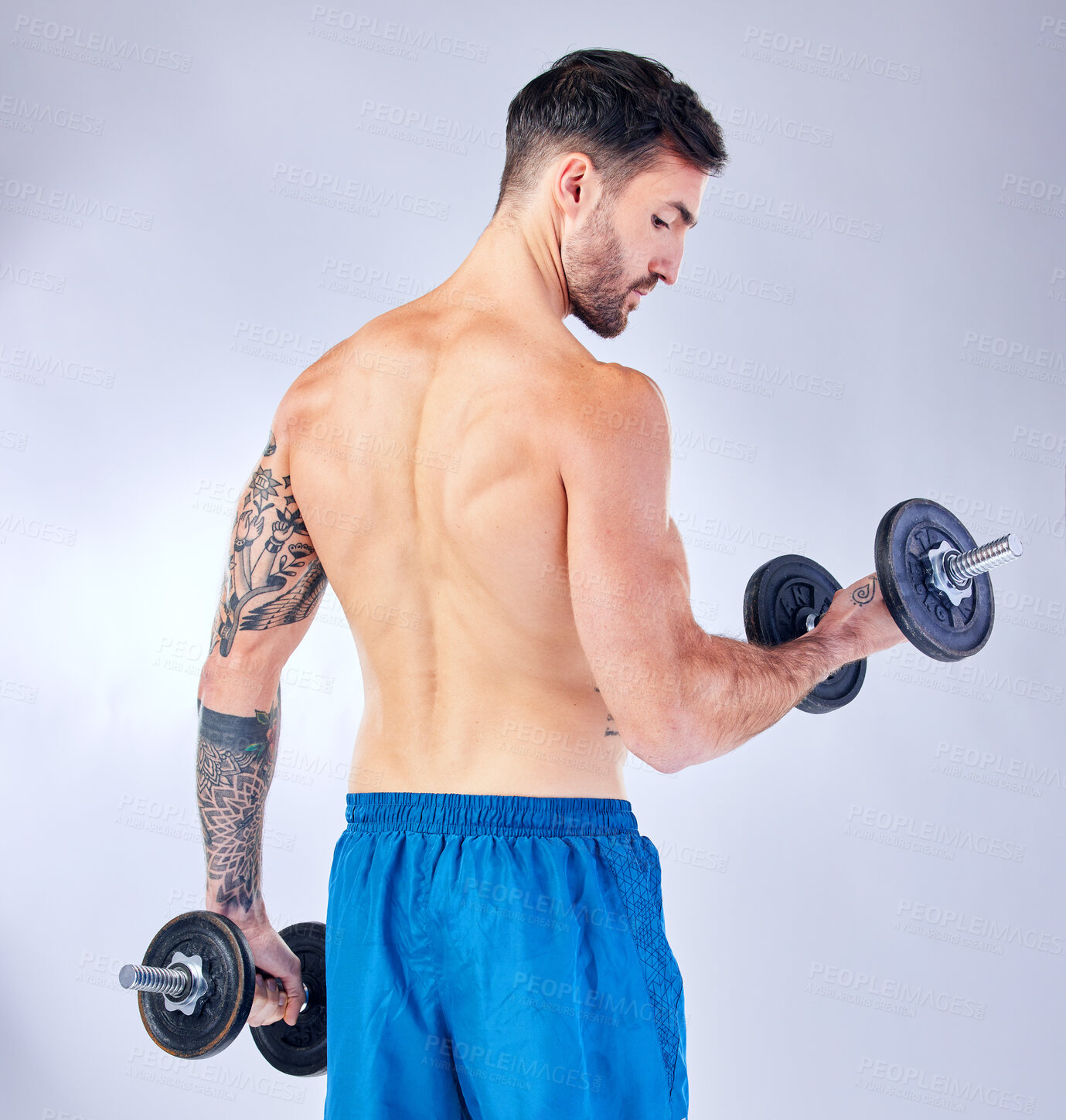 Buy stock photo Bodybuilder back, dumbbells and background in studio for fitness, health or training with focus. Man, weightlifting exercise and sport workout for body, power and muscle with iron for bodybuilding