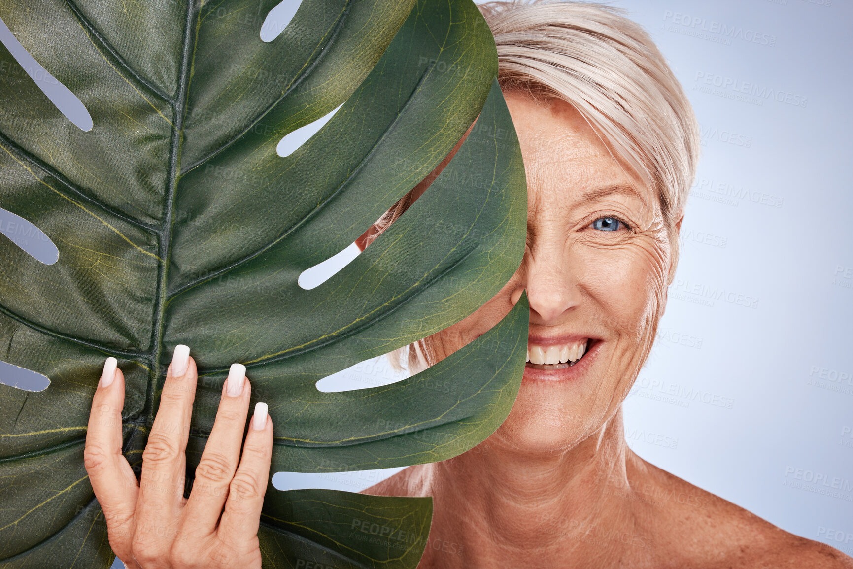 Buy stock photo Skincare, portrait of mature woman and leaf, organic cosmetics for face on studio background. Health, beauty and retirement, happy lady in Australia. Dermatology, cosmetics and healthy hair and body.