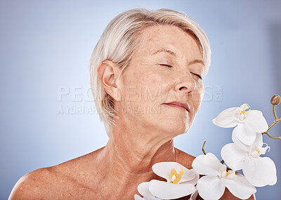 Buy stock photo Flowers, skincare and senior woman with aromatherapy, beauty and peace from plants against a grey studio background. Luxury, cosmetic and calm elderly model with an orchid for wellness and relax