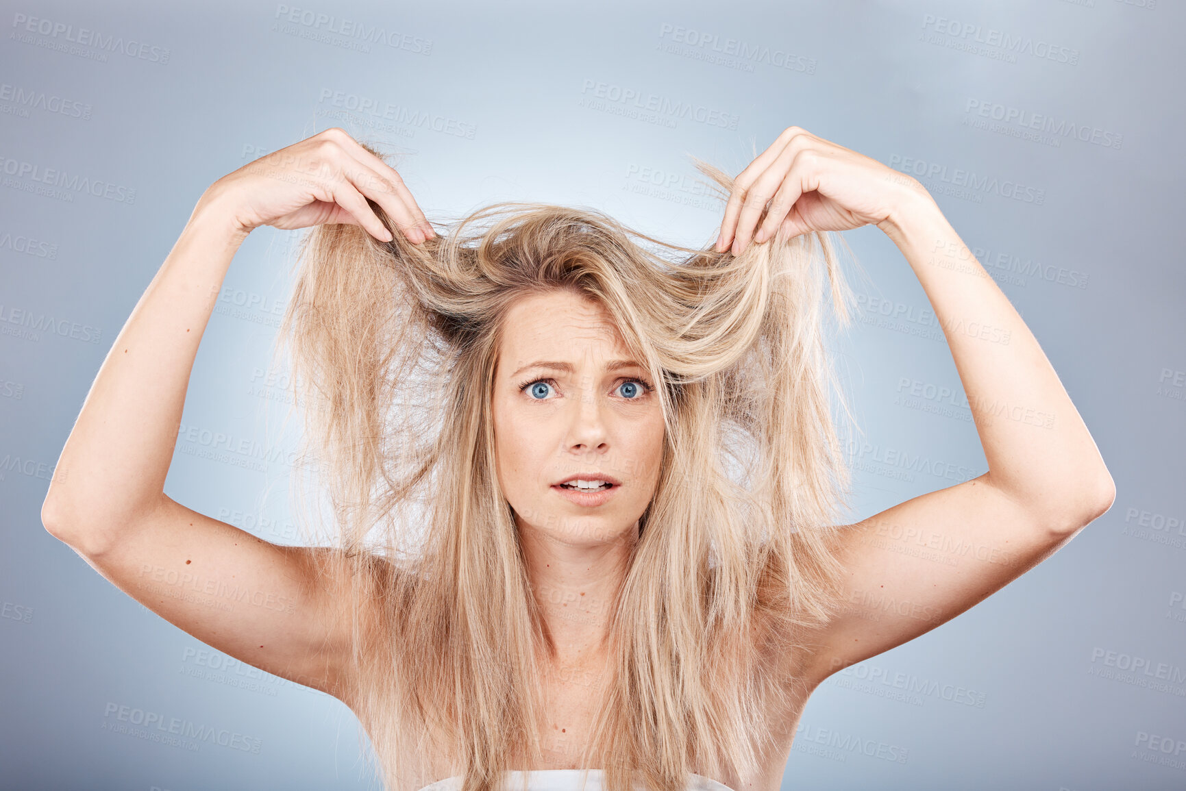 Buy stock photo Hair, portrait and woman in studio for hair care, problem and  fail or hair loss against grey background. Confused, girl and model with split ends, dry and tangle, damaged hair and frizz with mockup